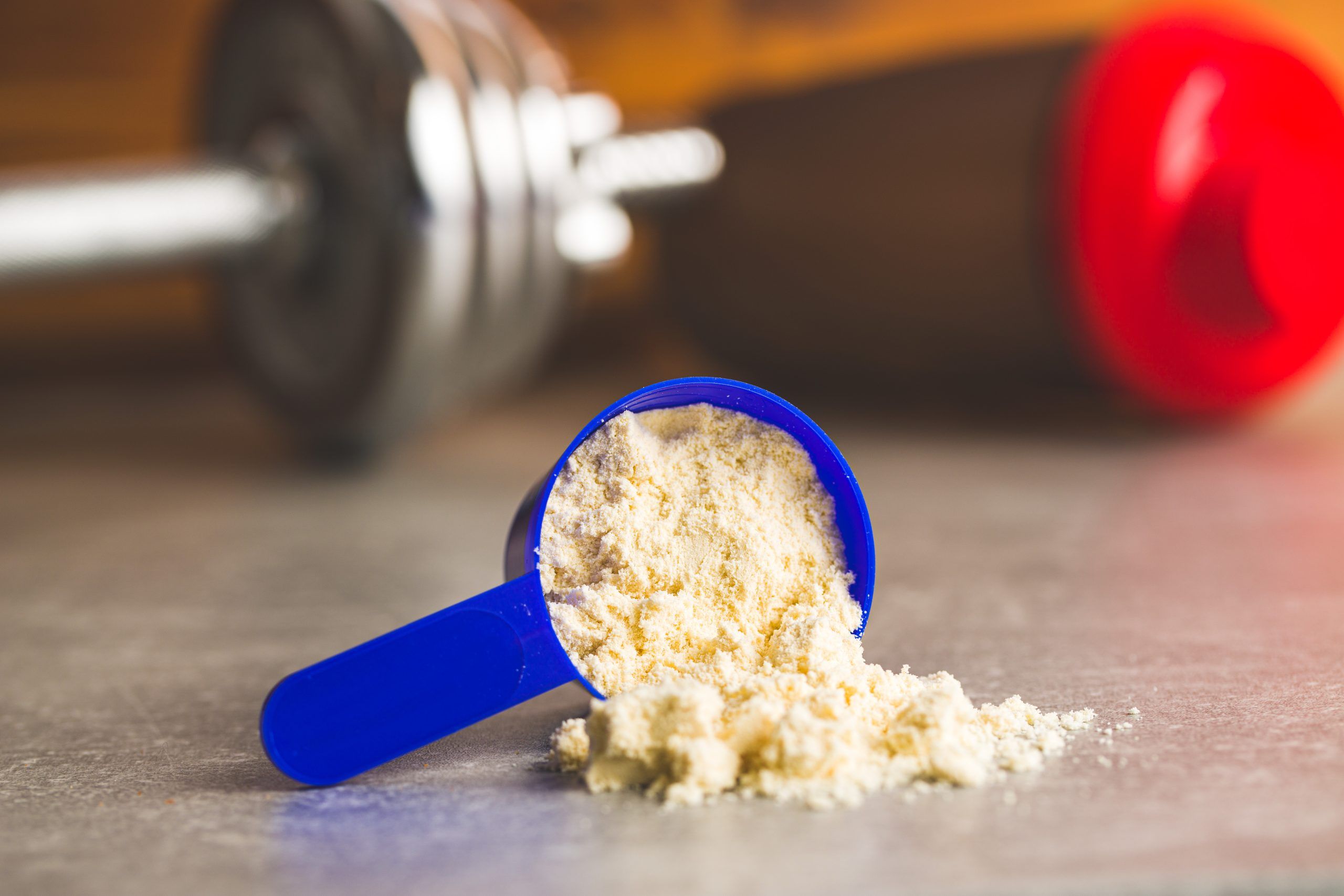 whey protein powder scoop 1 scaled 1feeeb04